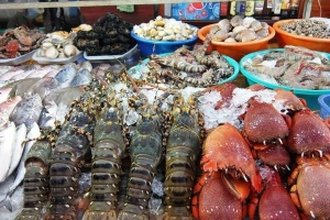 Top 20 quán ăn ngon ở Phan Thiết