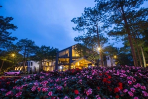Top 4 khách sạn Đà Lạt lãng mạn nhất cho kỳ Honeymoon
