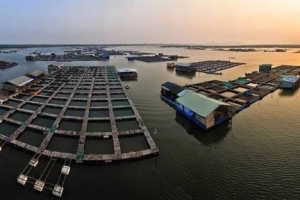 Top 5 biển đảo hoang sơ gần Sài Gòn lý tưởng cho chuyến đi cuối tuần