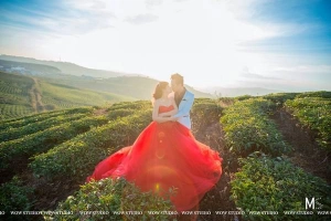 Top những nơi chụp hình cưới hot nhất năm 2015