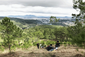 Tour Đà Lạt 1 ngày cực thú vị chèo Kayak và trekking đỉnh SamSon