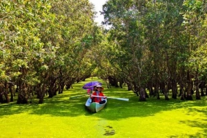 Tour Đồng Tháp 2N1D: Khám phá vẻ đẹp hoang sơ của Tràm Chim - Gáo Giồng