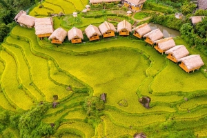 Tour Hà Giang 4N3Đ: Hoàng Su Phì - Simacai - Bắc Hà – Sapa chỉ 8.988.000đ/khách