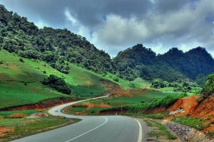 Tour Mộc Châu 2N1D: Khám phá vẻ đẹp lãng mạn đậm chất thơ của Mộc Châu