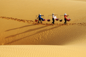 Tour Phan Thiết 2N1Đ khám phá Mũi Né - Lâu Đài Rượu Vang chỉ 2.186.000 đồng/khách