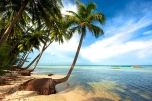 Tour Tết Phú Quốc: Khám phá vẻ đẹp hoang sơ của đảo ngọc