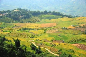 Trải nghiệm Y Tý với sớm nắng, chiều mưa, buổi trưa mù mịt