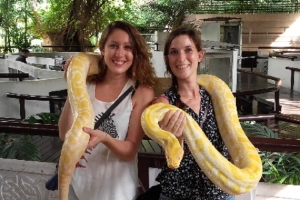 Trang trại nuôi hàng nghìn con rắn ở Bangkok