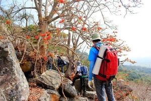 Trekking núi Bà Đen sao cho an toàn