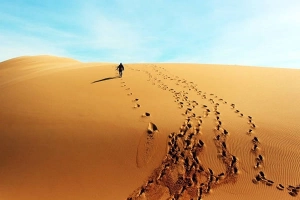 Trekking qua những đồi cát tuyệt đẹp ở Bình Thuận