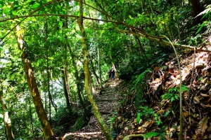 Trekking xuyên rừng Ba Vì trên cung đường mới
