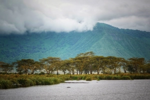 Trên đồng cỏ Tanzania