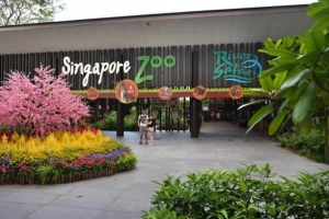 TripAdvisor liệt kê 50 điểm đến mang tính biểu tượng của du lịch Singapore