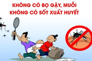 Tự phòng bệnh sốt xuất huyết hiệu quả với các khuyến cáo của WHO