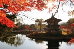 Tuyệt tác mùa thu Seoul