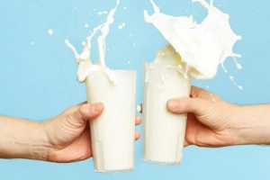 Uống sữa nhiều có gây dậy thì sớm không?