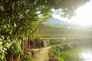 Vẫn có một Tả Van đáng yêu giữa Sapa &#8216;thảm họa&#8217;