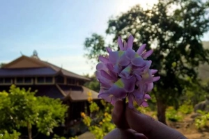 Vẻ đẹp của Thiền viện Trúc Lâm Chân Nguyên những ngày cuối năm