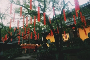 Vẻ đẹp Hàng Châu níu chân du khách