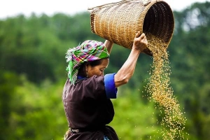 Vẻ đẹp phụ nữ Việt Nam trong mắt nhiếp ảnh gia Pháp