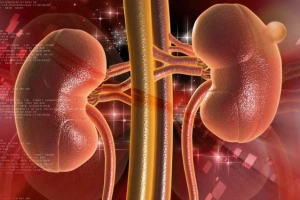 Viêm cầu thận cấp khác thận hư như thế nào?