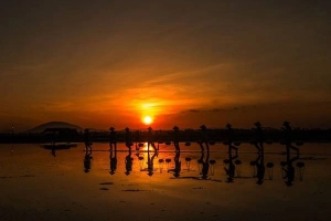 Việt Nam trong mắt người Thổ Nhĩ Kỳ