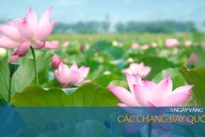 Vietnam Airlines: &#8216;Bay cùng hoa sen&#8217; trong 5 ngày vàng tháng 7