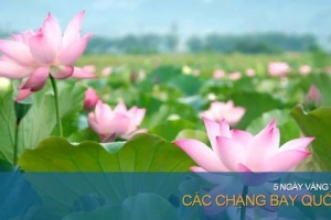 Vietnam Airlines gây sốc với giá vé quốc tế không thể rẻ hơn