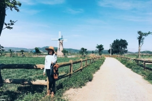 Vinamilk Organic Milk Farm, trang trại bò sữa đẹp như ở trời Âu tại Đà Lạt