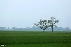 Vịnh Hạ Long thu nhỏ ở ngoại thành Hà Nội