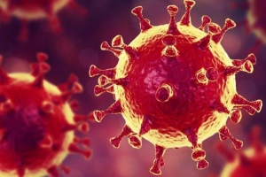 Virus cúm A: Loại virus cần quan tâm đặc biệt