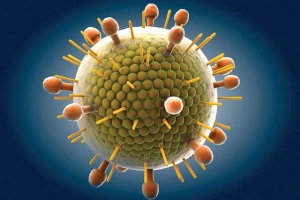 Virus là gì? Sự hình thành của virus?