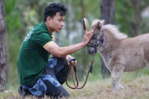 Vừa uống cà phê, vừa vui đùa với lạc đà ở Đà Lạt