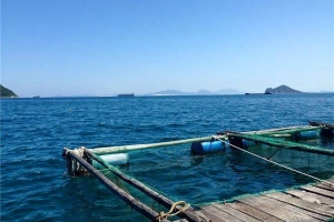 Vũng Rô – điểm đến lý tưởng cho chuyến du lịch hè