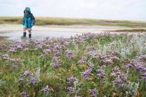 Wadden - vùng biển &#8220;kỳ lạ&#8221; của Hà Lan