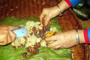 Xôi cọ bùi ngậy của người Tày ở Phú Thọ