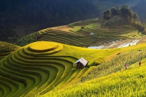 Yên Bái và những điểm du lịch hút hồn phượt thủ