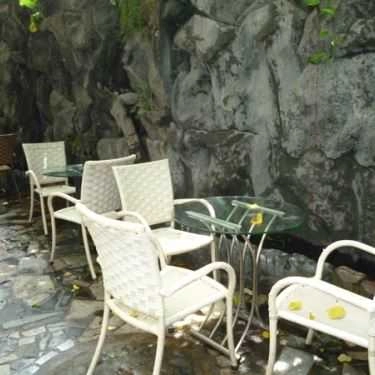 Tổng hợp- Trúc Mai Cafe