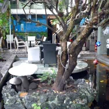 Tổng hợp- Trúc Mai Cafe