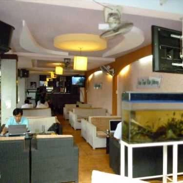 Tổng hợp- Trúc Mai Cafe