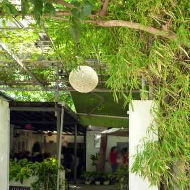 Tổng hợp- Sen Cafe - Tăng Bạt Hổ