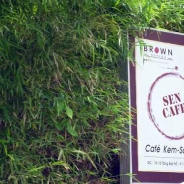 Tổng hợp- Sen Cafe - Tăng Bạt Hổ