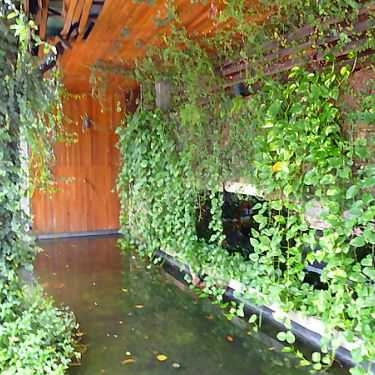 Tổng hợp- Trầm Cafe - Thủ Đức
