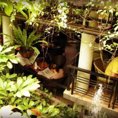 Tổng hợp- Thuyền Cafe