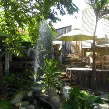 Tổng hợp- Gốc Cây Cafe