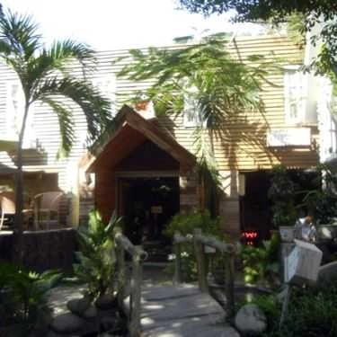 Tổng hợp- Gốc Cây Cafe