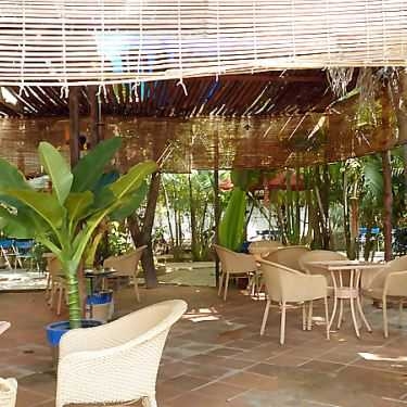 Tổng hợp- Tiếng Thu Cafe