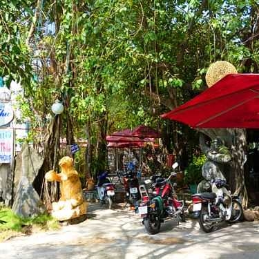 Tổng hợp- Tiếng Thu Cafe