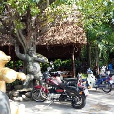 Tổng hợp- Tiếng Thu Cafe