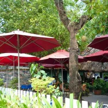 Tổng hợp- Tiếng Thu Cafe